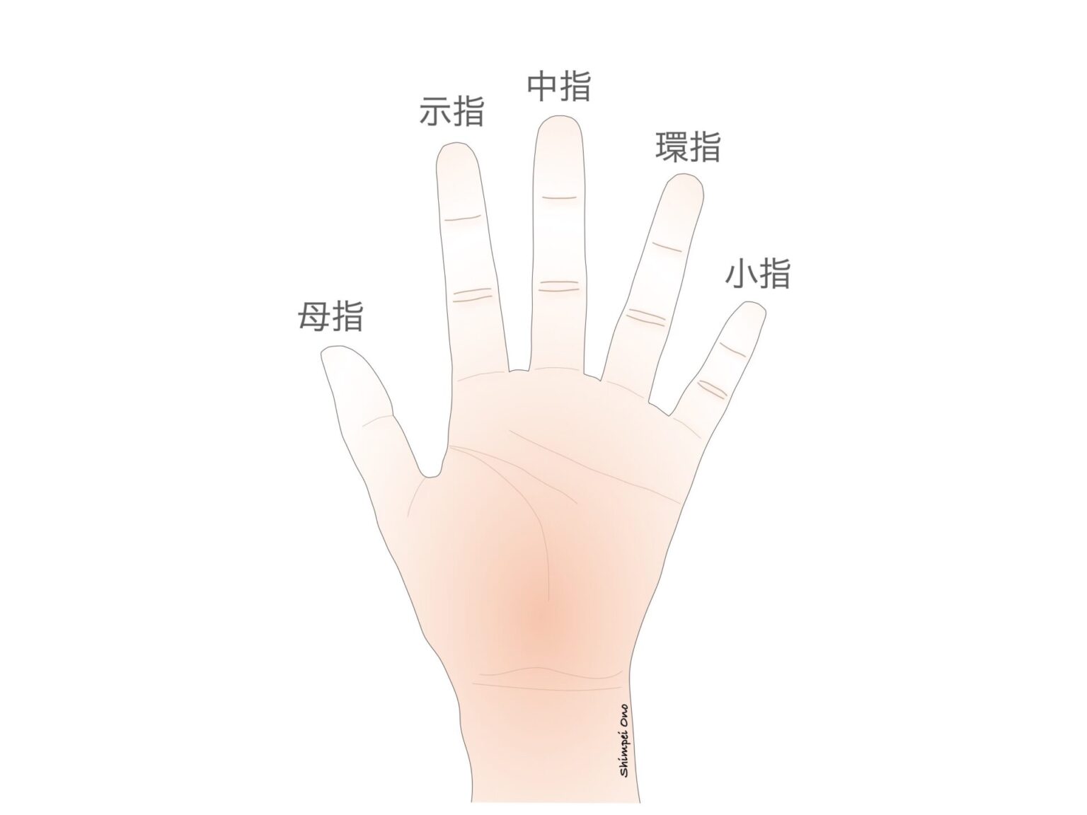 我的五个手指头|插画|绘本|静萱君 - 原创作品 - 站酷 (ZCOOL)